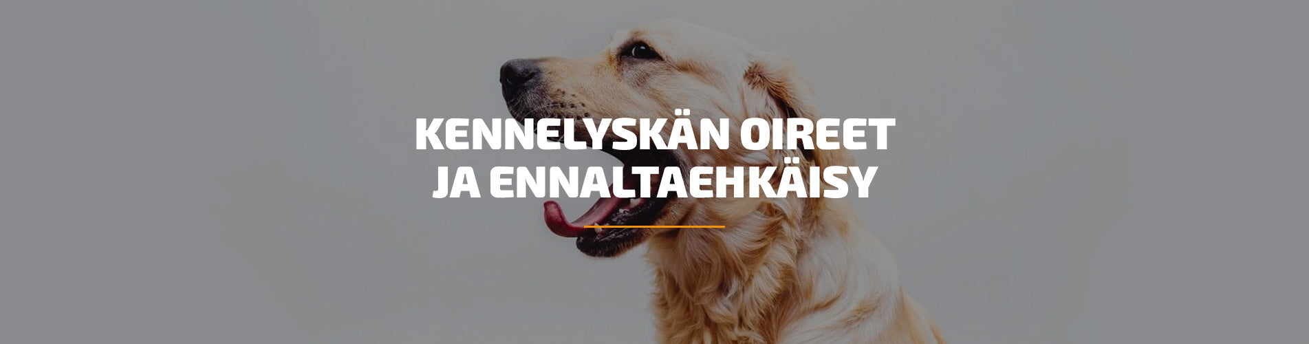 Kennelyskän oireet ja ennaltaehkäisy