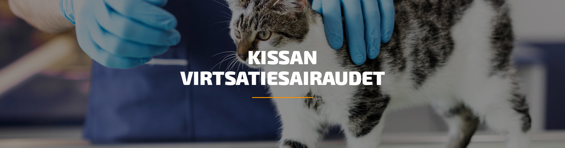 Kissan virtsatiesairaudet