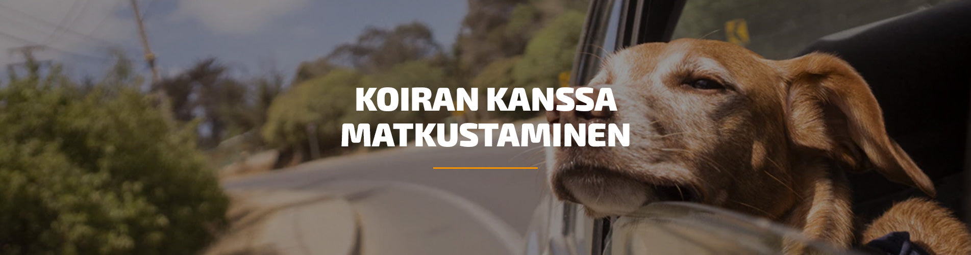 koiran-kanssa-matkustaminen