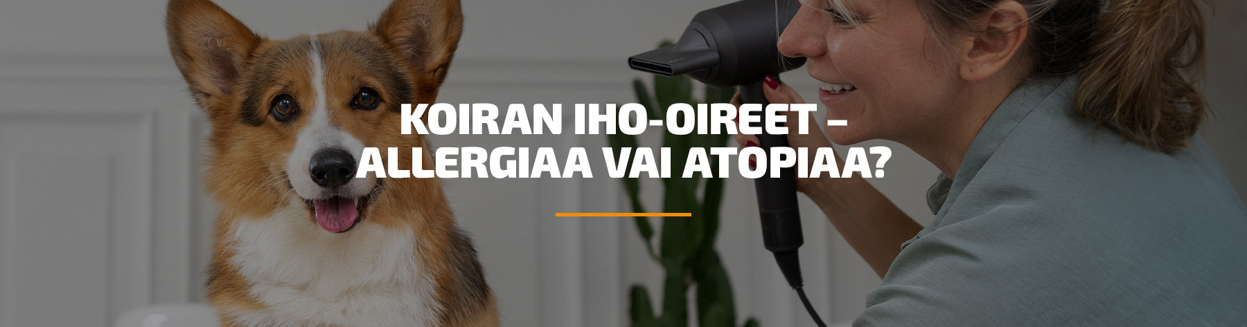 Koiran iho-oireet – allergiaa vai atopiaa?