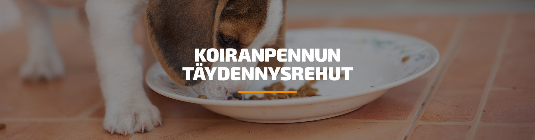 Koiranpennun täydennysrehut