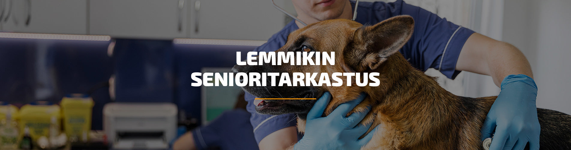 Lemmikin senioritarkastus