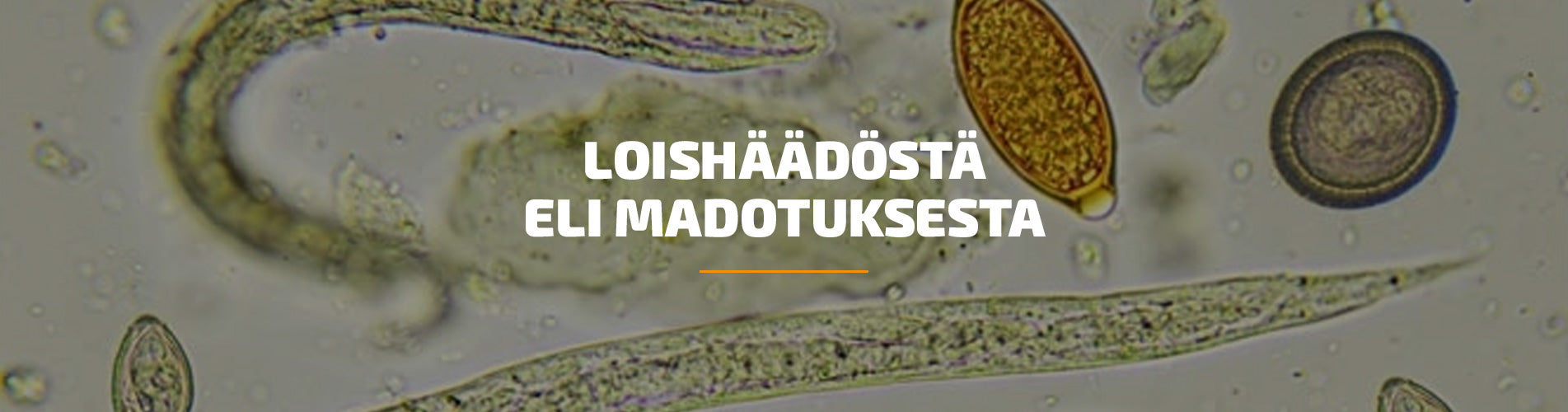 Loishäädöstä eli madotuksesta