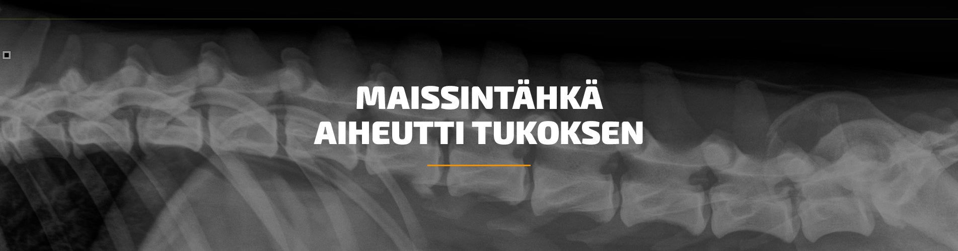 Maissintähkä aiheutti tukoksen - Akuutit hoitotilanteet klinikan arjessa