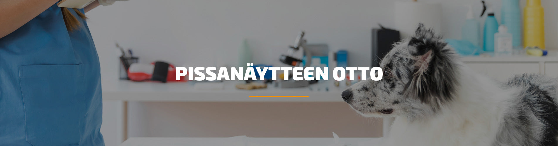 Pissanäytteen otto