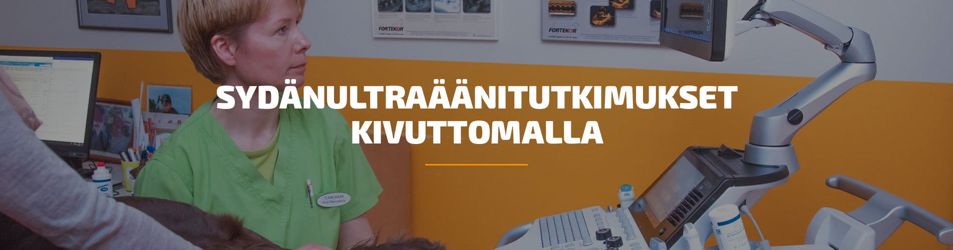 Sydänultraäänitutkimukset Kivuttomalla