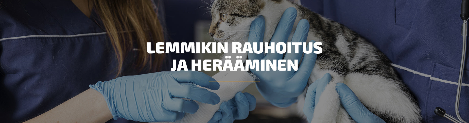 Lemmikin rauhoitus, herääminen ja toipuminen eläinlääkärissä