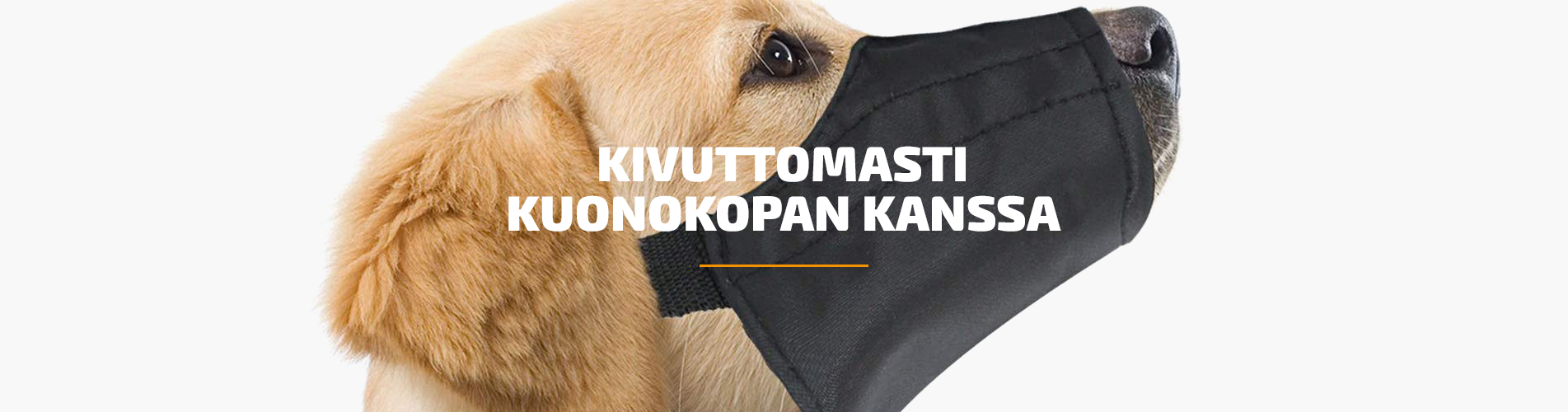 Kivuttomasti kuonokopan kanssa