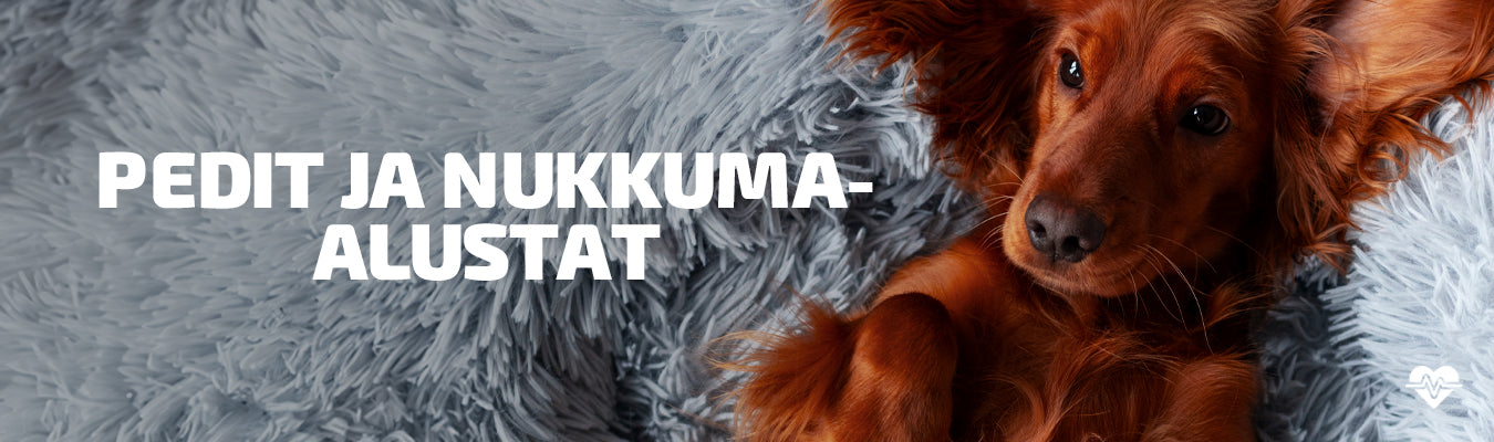 Pedit ja nukkuma-alustat koiralle