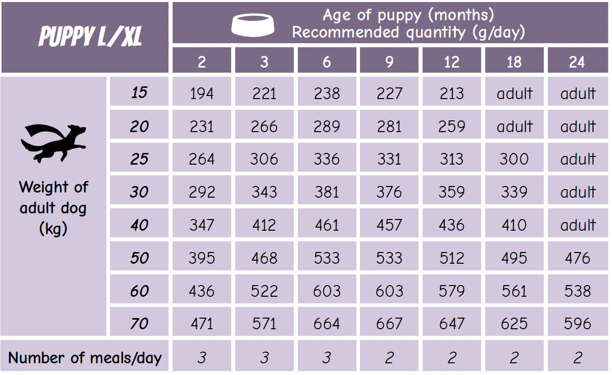 POW! Dog Puppy Large Pork 12 kg