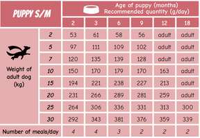 POW! Dog Puppy Small & Medium Pork 12 kg