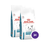 Royal Canin Veterinary Diets Derma Hypoallergenic Small Dogs koiran kuivaruoka 2 x 3,5 kg TUPLAPAKKAUS