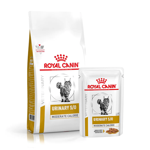 Royal Canin Urinary S/O Moderate Calorie kissalle yhdistelmä 1,5 kg + 12 x 85 g