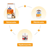 Tukihoitopaketti virtsakivitautiin kissoille Hill's