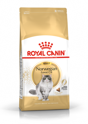 Royal Canin Norwegian Forest Cat kissalle 2 kg