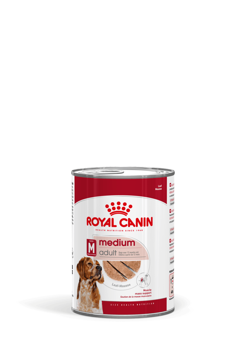 Royal Canin Medium Adult Loaf koiralle 12 x 410 g