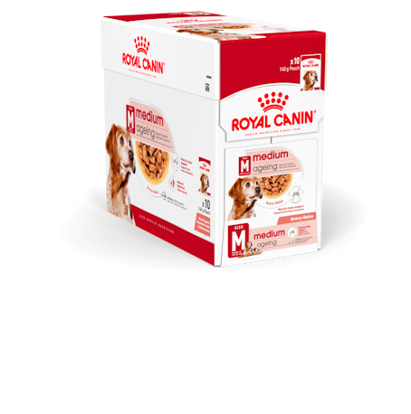 Royal Canin Medium Ageing koiralle 10 x 140 g