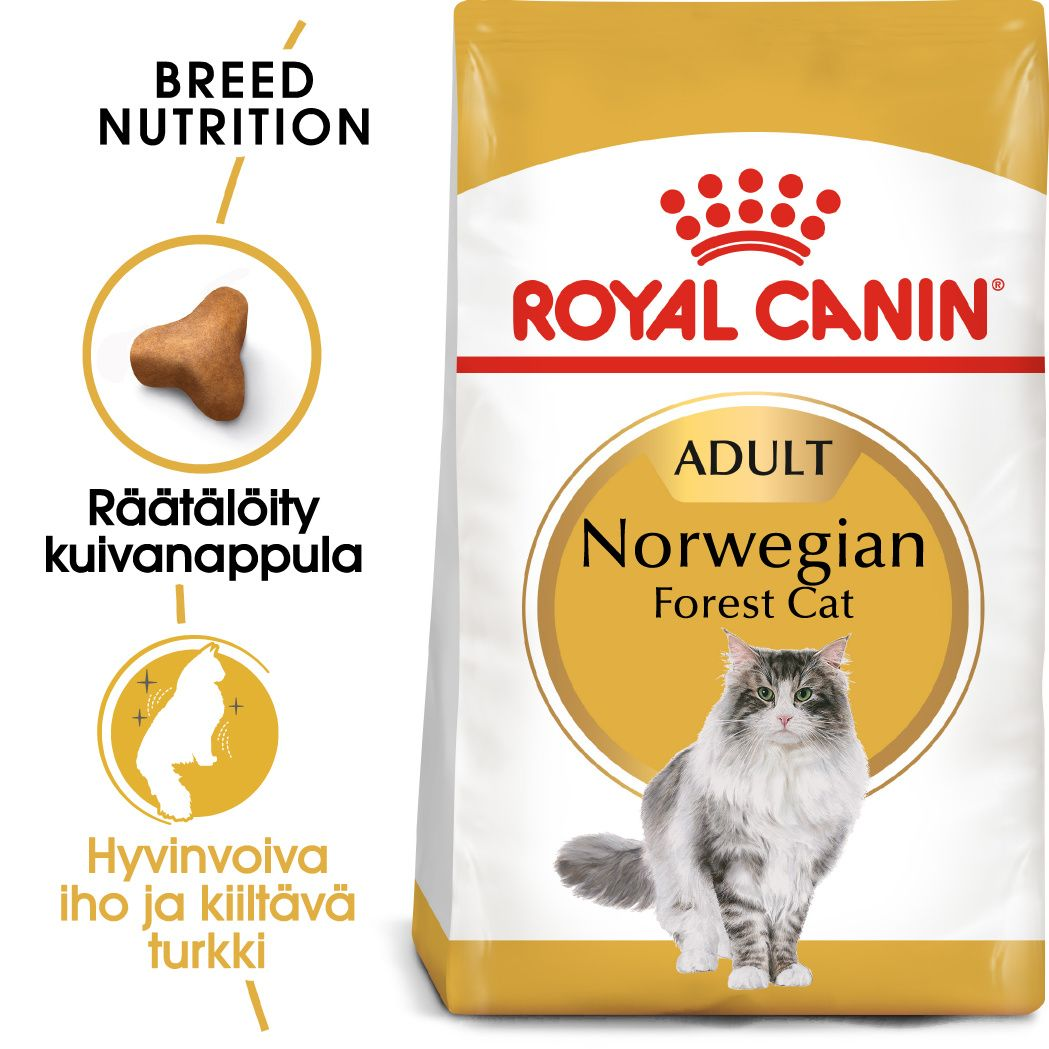 Royal Canin Norwegian Forest Cat kissalle 2 kg