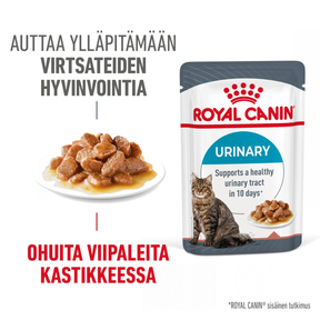 Royal Canin Urinary Care in Gravy kissalle 12 x 85 g