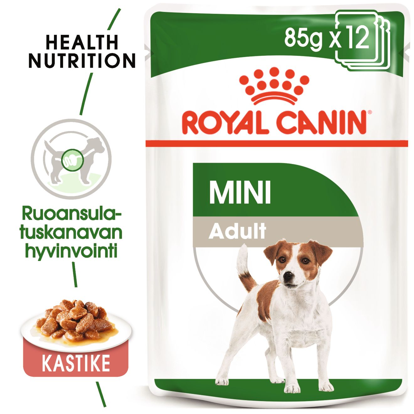 Royal Canin Mini Adult koiralle 12 x 85 g