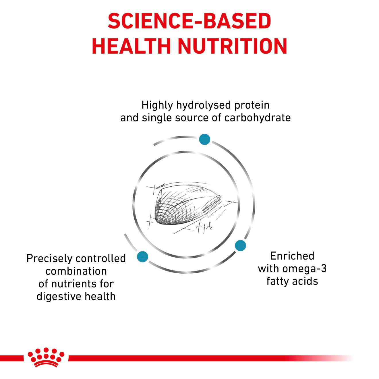 Royal Canin Veterinary Diets Derma Hypoallergenic kissan kuivaruoka 2,5 kg