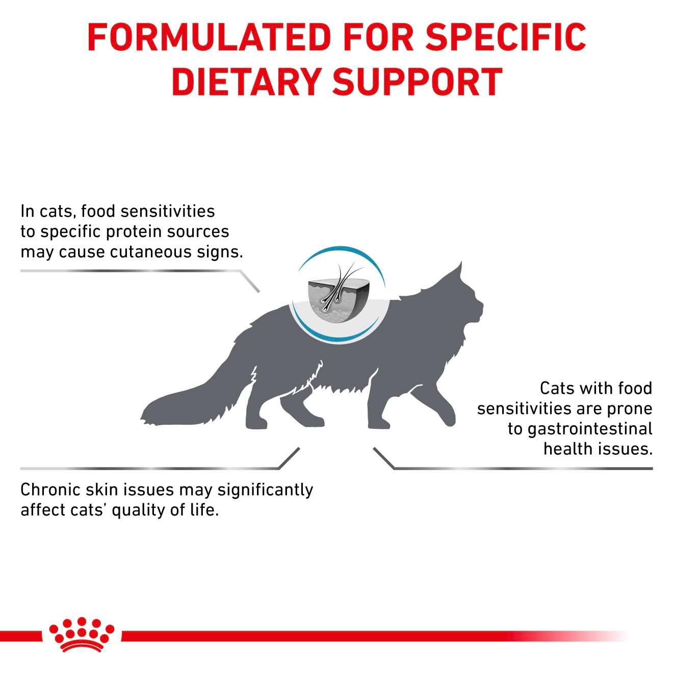 Royal Canin Veterinary Diets Derma Hypoallergenic kissan kuivaruoka 2,5 kg