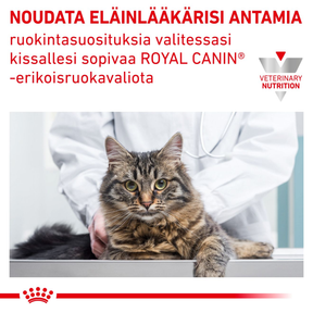 Royal Canin Veterinary Diets Urinary S/O kissan kuivaruoka 1,5 kg