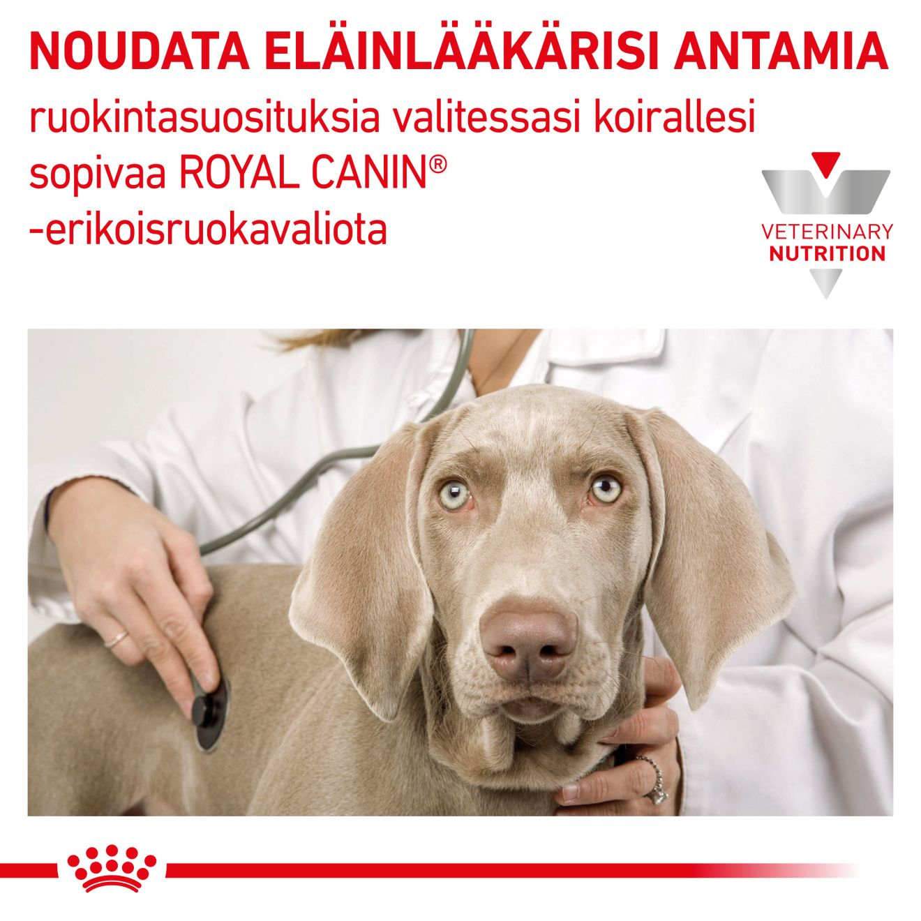 Royal Canin Veterinary Diets Vital Early Renal koiran kuivaruoka 14 kg