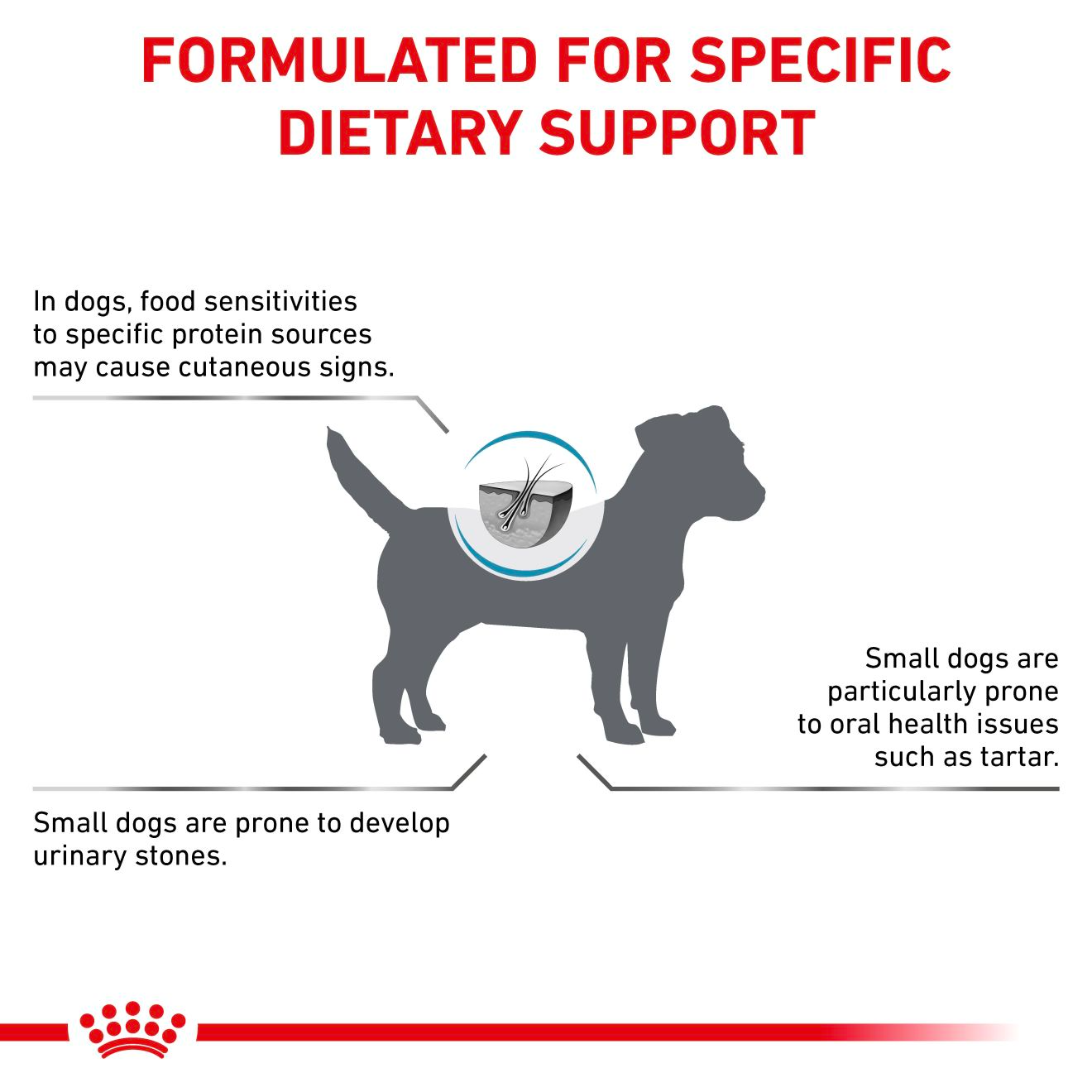 Royal Canin Veterinary Diets Derma Hypoallergenic Small Dogs koiran kuivaruoka 3,5 kg