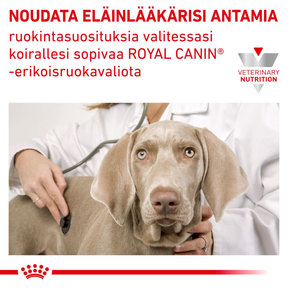 Royal Canin Veterinary Diets Weight Management Satiety koiran kuivaruoka 6 kg