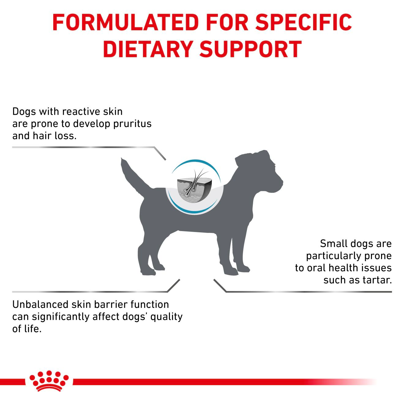 Royal Canin Veterinary Diets Derma Skin Care Small Dogs koiran kuivaruoka 2 kg