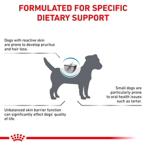 Royal Canin Veterinary Diets Derma Skin Care Small Dogs koiran kuivaruoka 2 kg