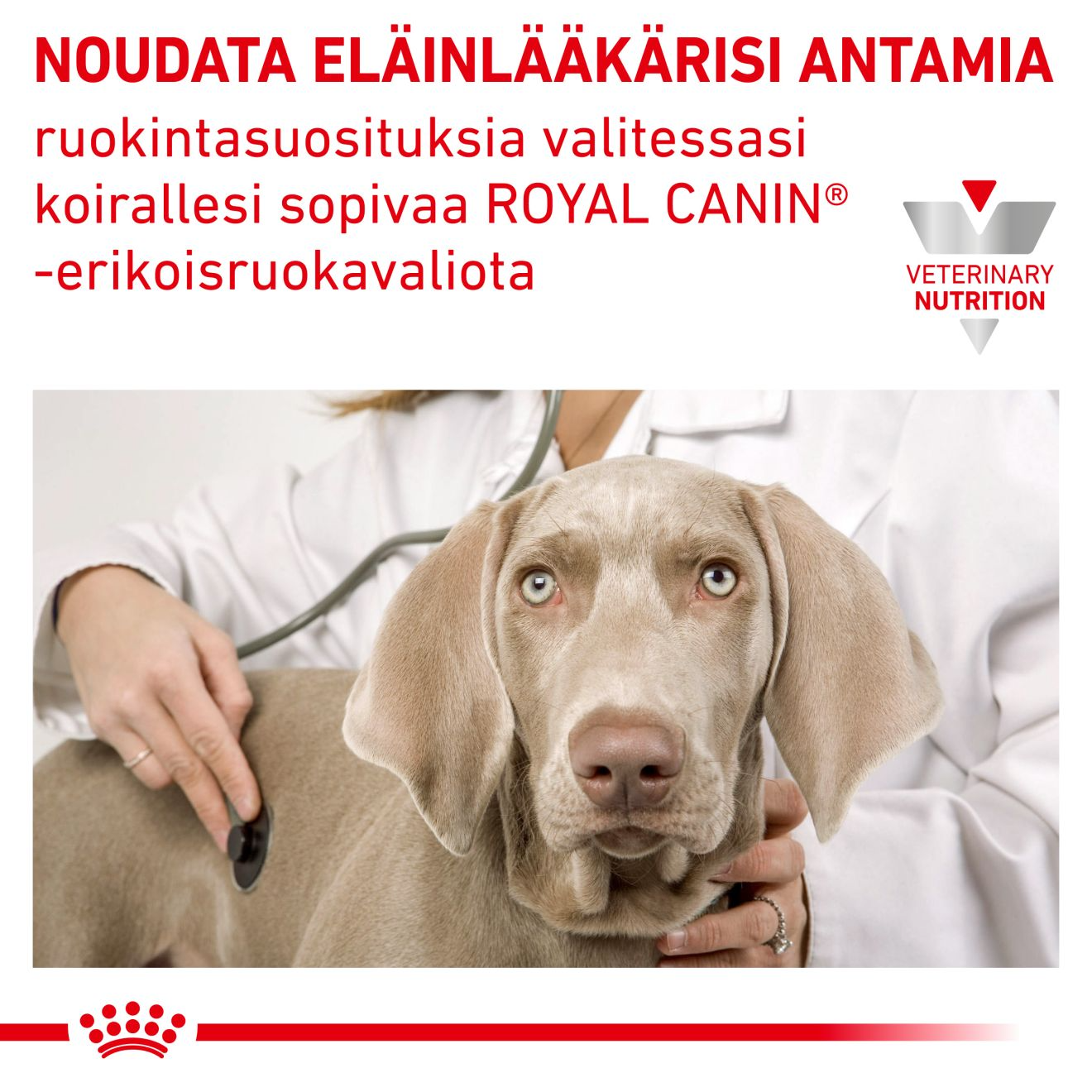 Royal Canin Veterinary Diets Urinary S/O koiran kuivaruoka 13 kg