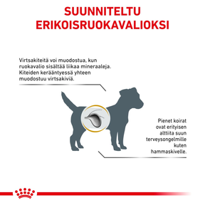 Royal Canin Veterinary Diets Urinary S/O Small Dogs koiran kuivaruoka 1,5 kg