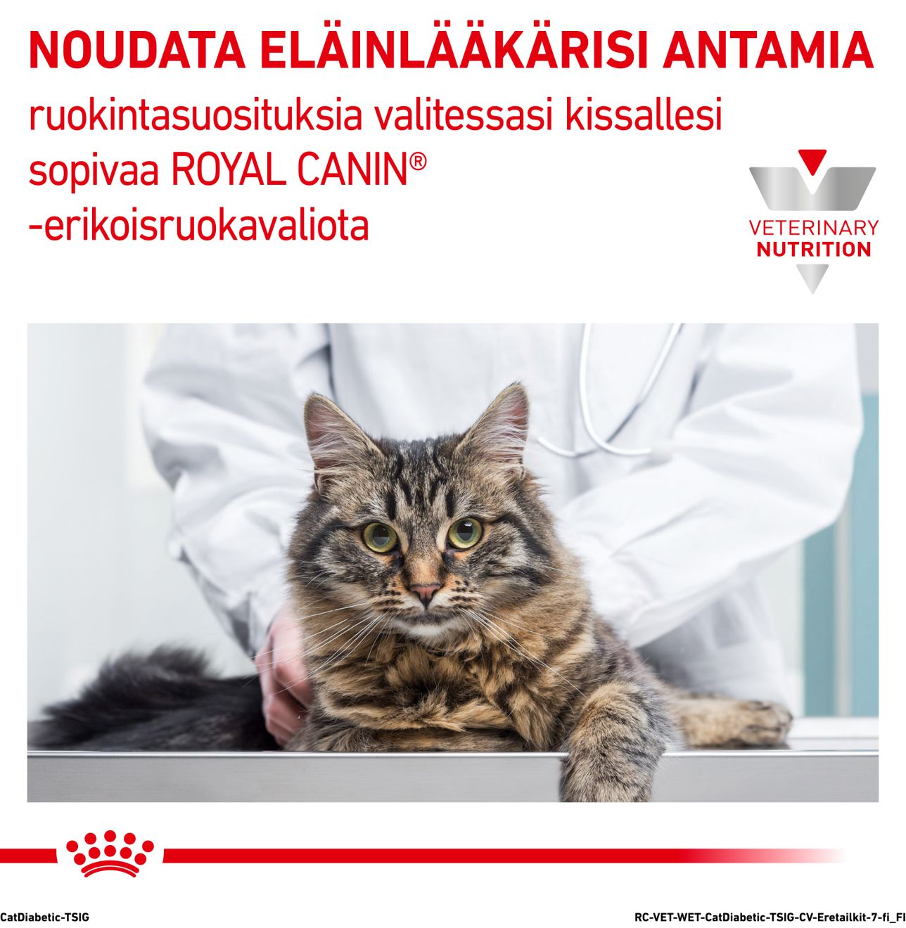 Royal Canin Veterinary Diets Weight Management Diabetic Slices In Gravy annospussi kissan märkäruoka 12 x 85 g