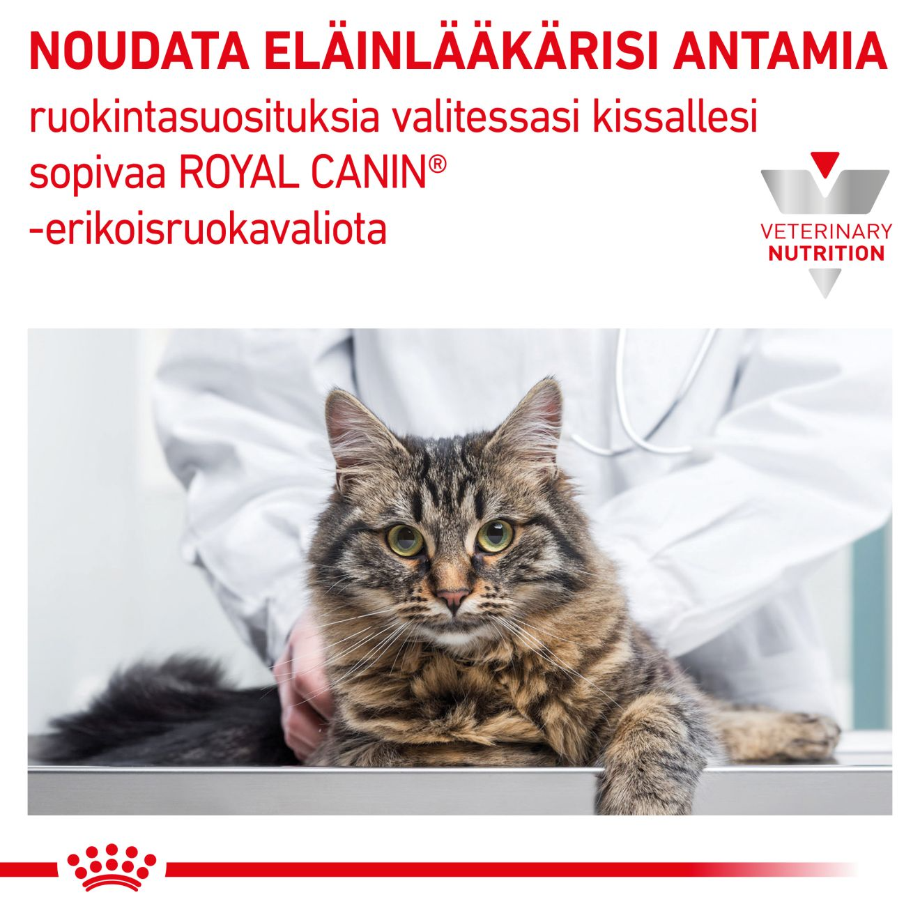 Royal Canin Veterinary Diets Vital Renal Loaf kissan märkäruoka 12 x 85 g