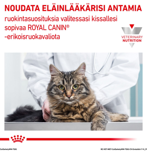 Royal Canin Veterinary Diets Weight Management Satiety Thin Slices In Gravy annospussi kissan märkäruoka 12 x 85 g