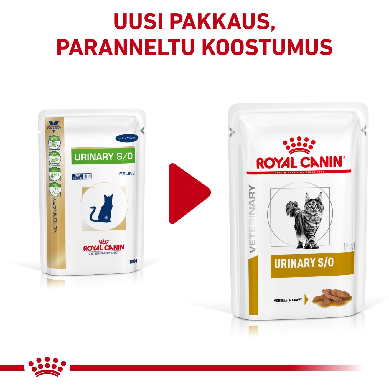 Royal Canin Veterinary Diets Urinary S/O Morsels in Gravy annospussi kissan märkäruoka 12 x 85 g