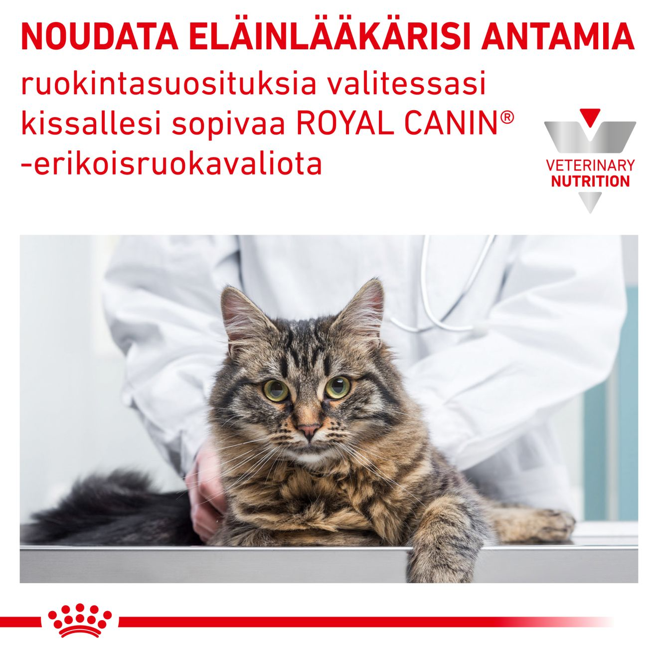 Royal Canin Veterinary Diets Urinary S/O Morsels in Gravy annospussi kissan märkäruoka 12 x 85 g