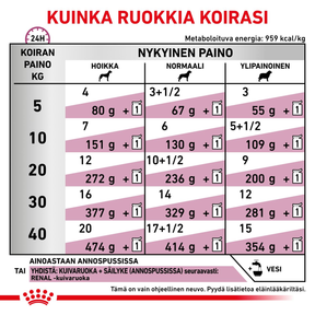 Royal Canin Veterinary Diets Vital Renal annospussi koiran märkäruoka 12 x 100 g