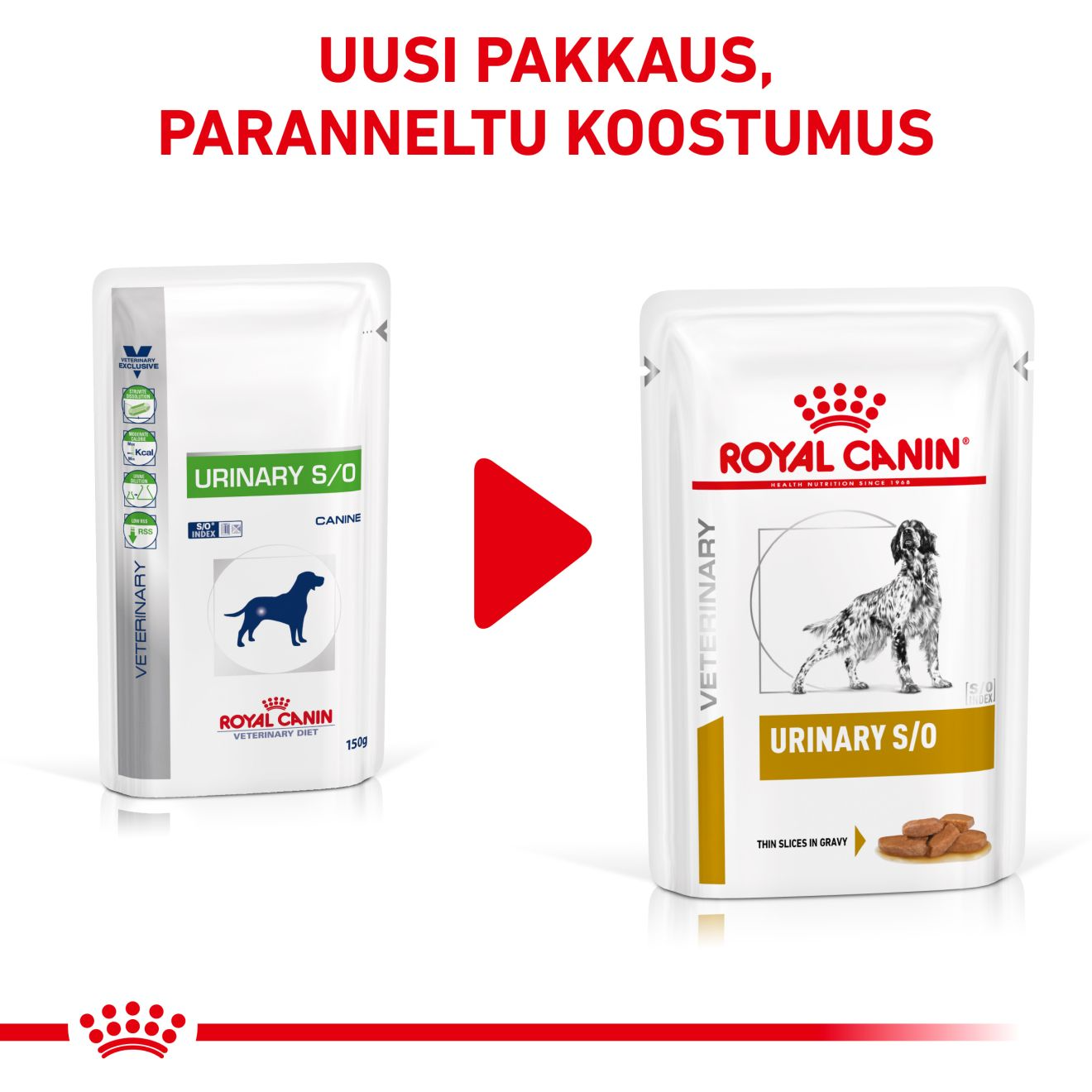 Royal Canin Veterinary Diets Urinary S/O CIG annospussi  koiran märkäruoka 12 x 100 g