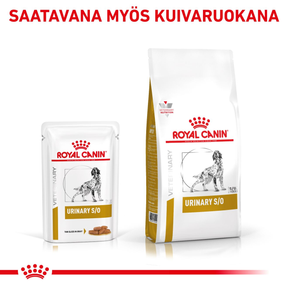 Royal Canin Veterinary Diets Urinary S/O CIG annospussi  koiran märkäruoka 12 x 100 g