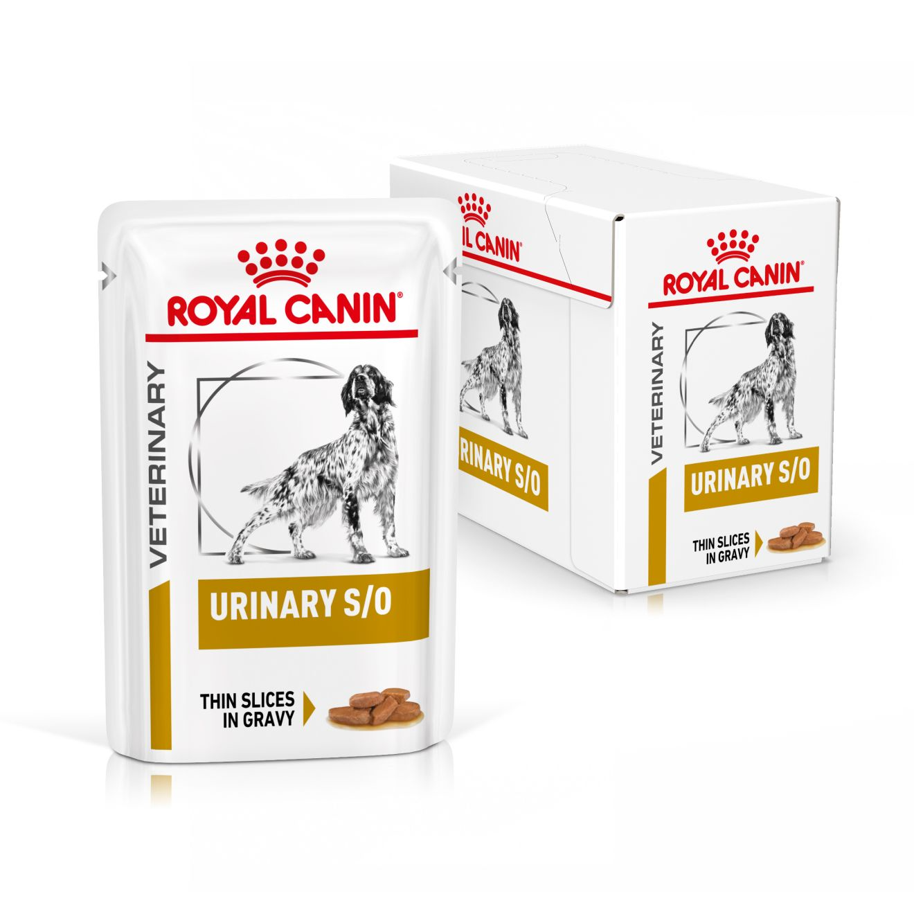 Royal Canin Veterinary Diets Urinary S/O CIG annospussi  koiran märkäruoka 12 x 100 g