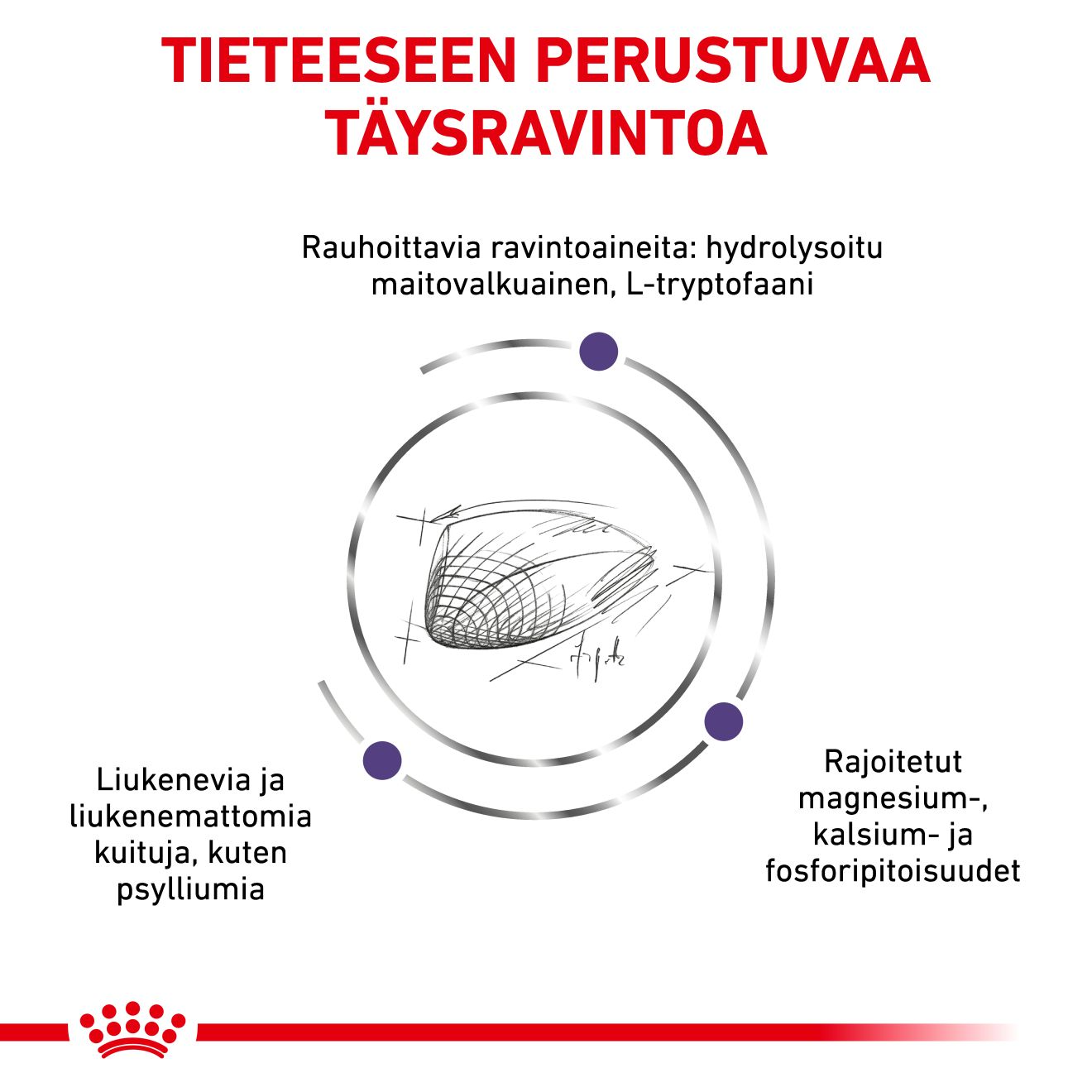 Royal Canin Veterinary Diets Health Management Calm kissan kuivaruoka 4 kg