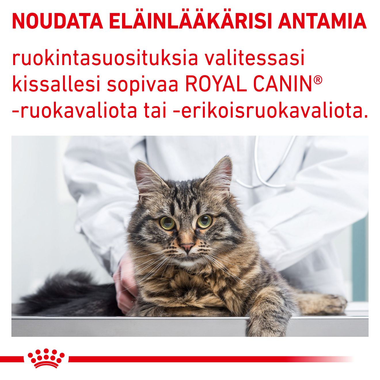 Royal Canin Veterinary Diets Health Management Calm kissan kuivaruoka 4 kg