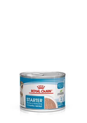 Royal Canin Starter Mother & Babydog koiralle 195 g MAISTELUPAKKAUS