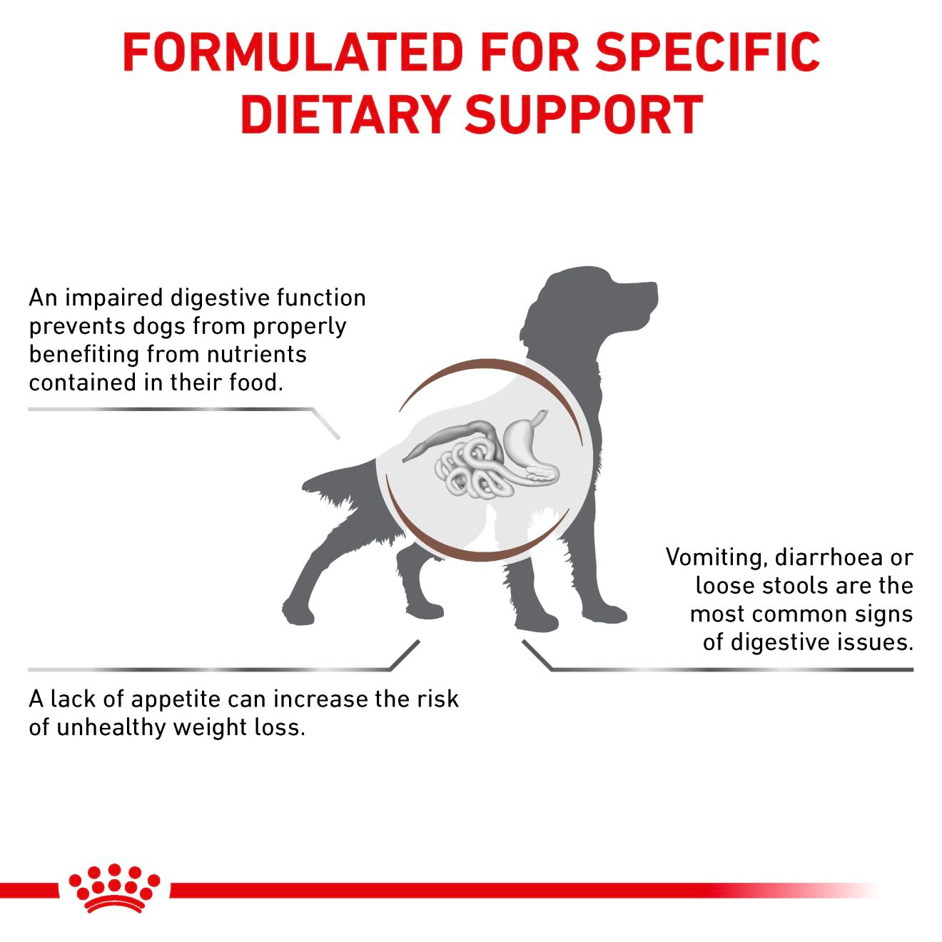 Royal Canin Veterinary Diets Gastrointestinal koiran kuivaruoka 2 kg