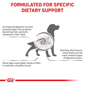 Royal Canin Veterinary Diets Gastrointestinal High Fibre Loaf säilykepurkki koiran märkäruoka 200 g MAISTELUPAKKAUS