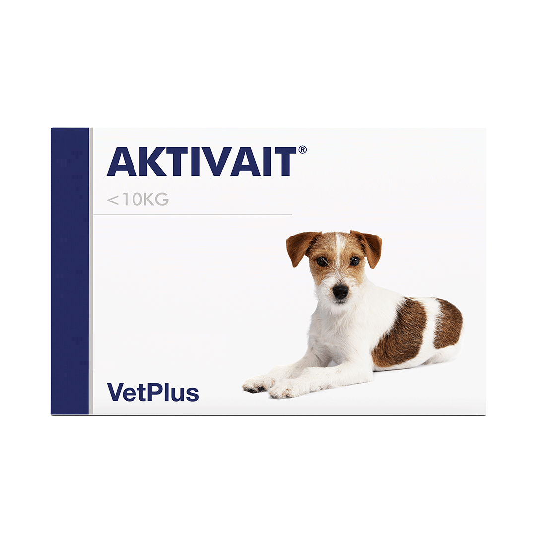 Aktivait Small Breed koiralle 60 tablettia