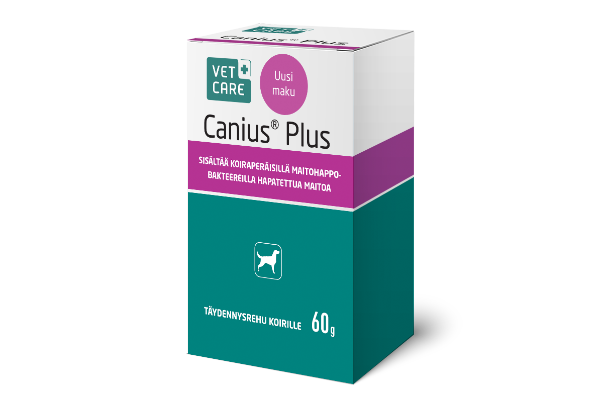 Canius Plus koiralle 60 g